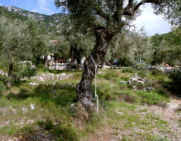  Bild: Grundstück im Pilion/Griechenland zu verkaufen.