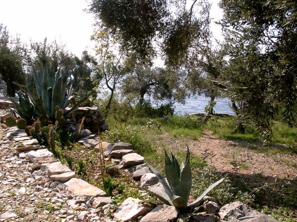  Bild: Grundstück im Pilion/Griechenland zu verkaufen.